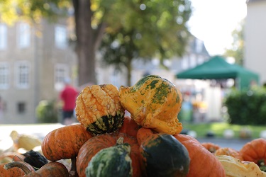 Bauernmarkt 2024