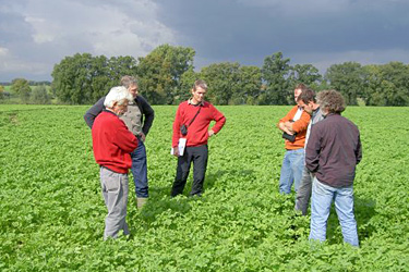 Berater im Feld