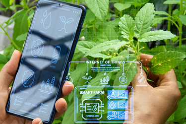 Künstliche Intelligenz in Landwirtschaft und Gartenbau