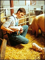 Landwirt mit Ferkel