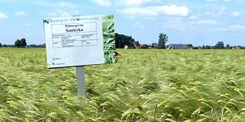Saatgutanerkenung