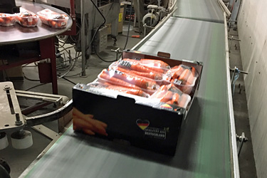 Verpackungsanlage des Betriebs Möhren Humpesch