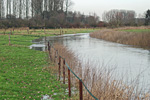 Bach mit Hochwasser
