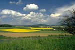 Landschaft in Meschede