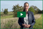 Video Altgrasstreifen