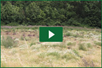 Video Schwarzbrache