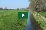 Video Uferrandstreifen