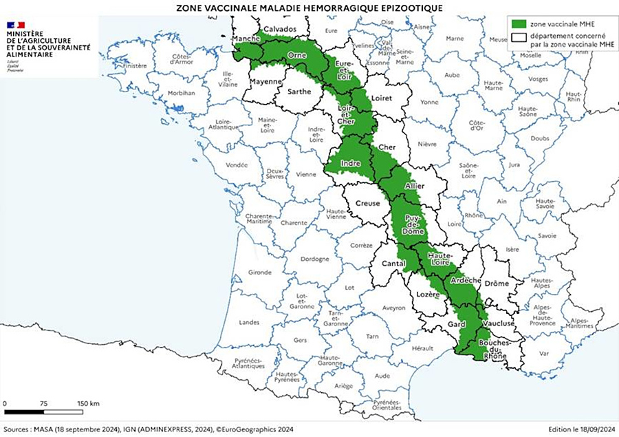 EHDV-Ausbrüche beim Rind in Südfrankreich