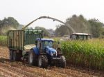 Maissilage 2017vor