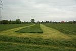 wildstreifen_vor