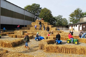 Veranstaltungen